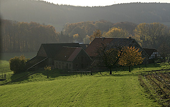 Ahornweg, Teutoburgerwald