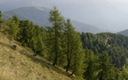 Alta Via dei Monti Liguri / Via Alpina