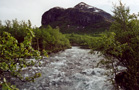 Jotunheimen: Storøa, the river between Gjendebu and Gjendestunga, here between birch forest 