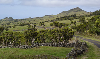 Pico, Azores