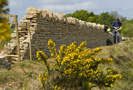 Cotswold Way, Dry stone walling