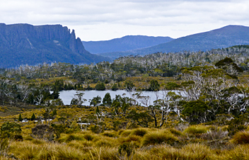 Overland Track - by Tzachy